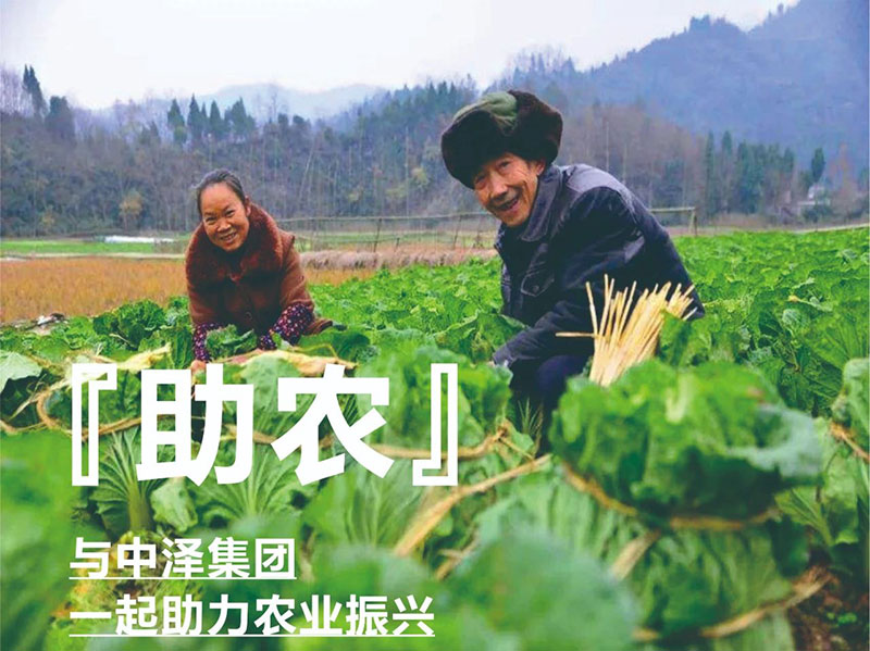 ������ũ�����������ж�