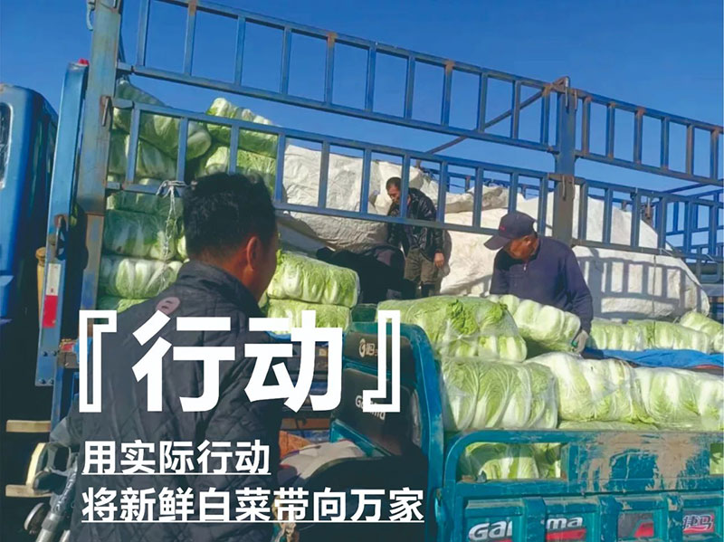 ������ũ�����������ж�